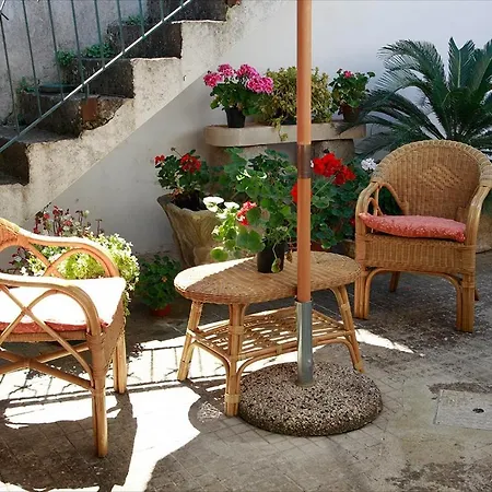 Spiti Bed & Breakfast